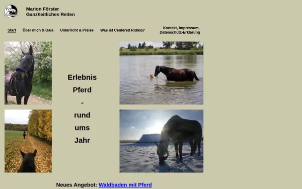 marionfoerster.de