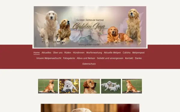 www.golden-ivy.de