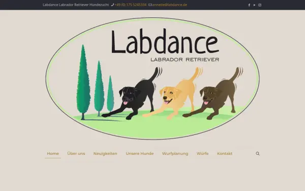 labdance-labrador-retriever.de