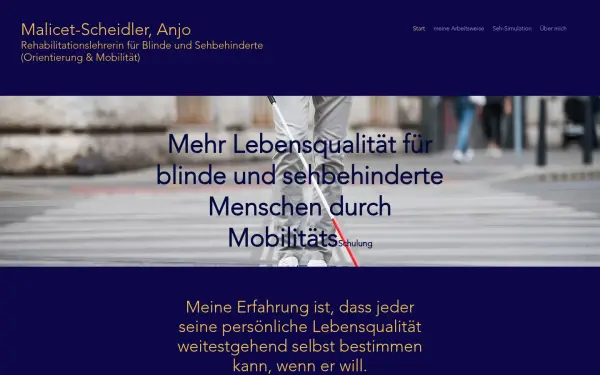 www.blind-sehbehindert-sicher-ans-ziel.com