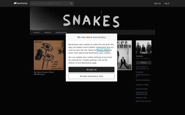 snakesband.bandcamp.com
