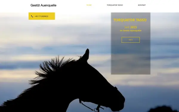 www.auenquelle.com