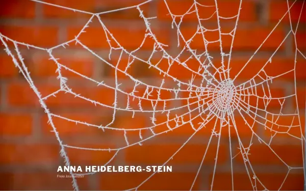 www.heidelberg-stein.de