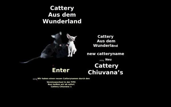 aus-dem-wunderland.de