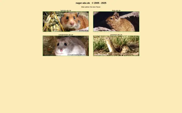 meerschwein-abc.de