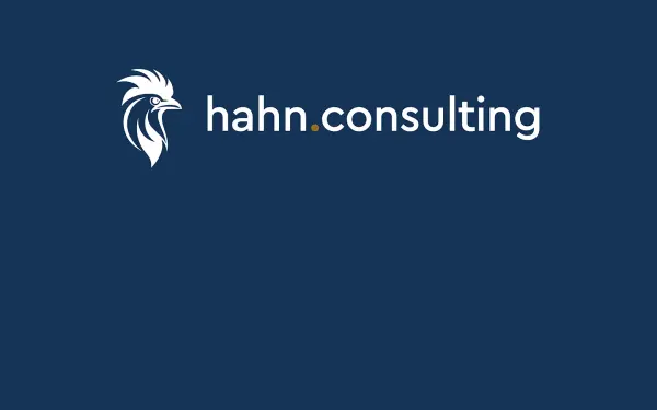 hahnconsulting.de