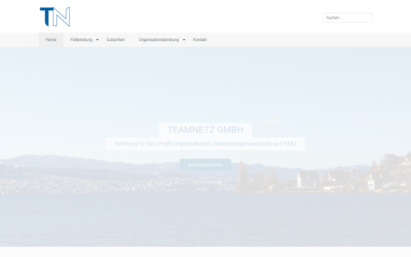 teamnetz.ch