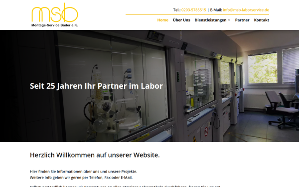 msb-laborservice.de