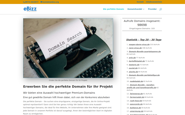 www.ebizz.org