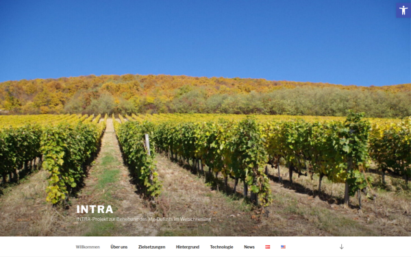 intra-grape.at