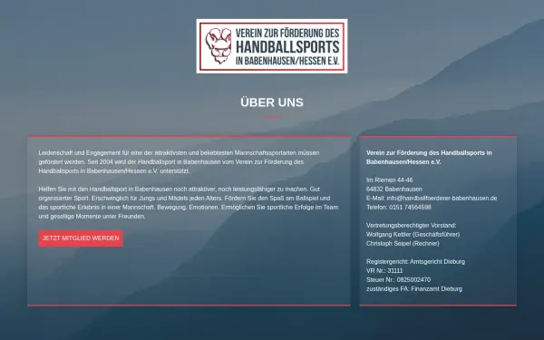 handballfoerderer-babenhausen.de