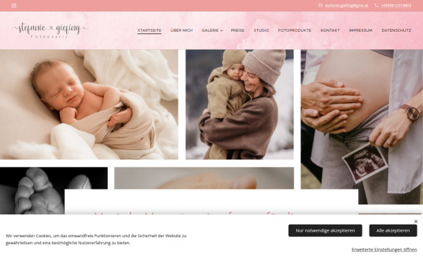 www.stefanie-giefing.at