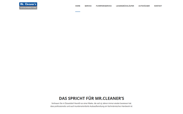 mr-cleaners.de