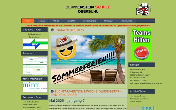 blumensteinschule.de
