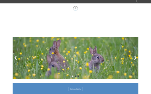 www.blackcms.de