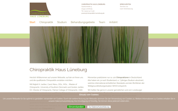 chiropraktik-lueneburg.de