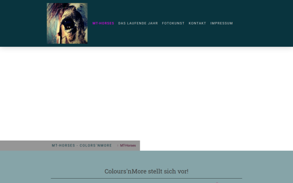 www.mt-horses.de