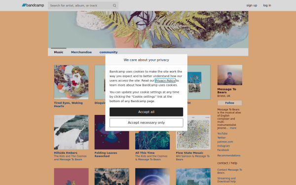messagetobears.com