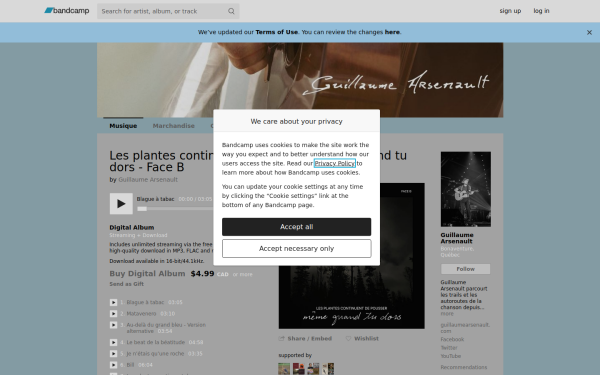 guillaumearsenault.bandcamp.com