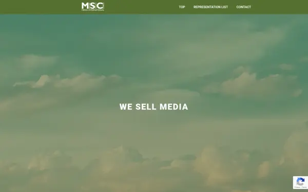 mediasalescompany.de