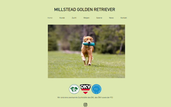 www.millstead-goldenretriever.at