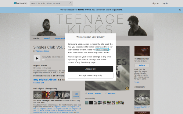 teenagekicksteenagekicks.bandcamp.com