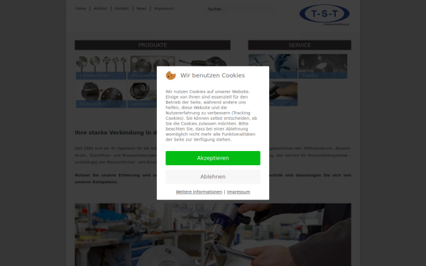 www.t-s-t-gmbh.de