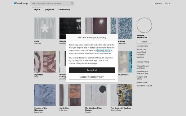 perfectaesthetics.bandcamp.com