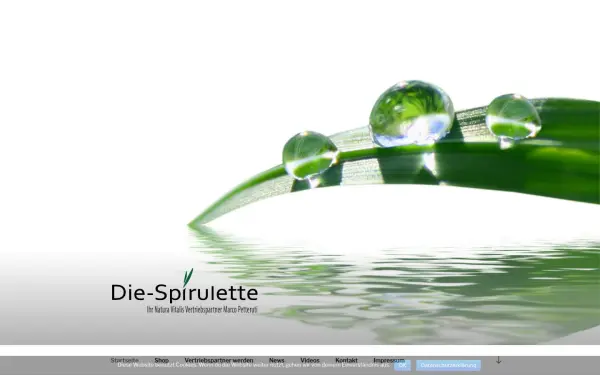 www.die-spirulette.de