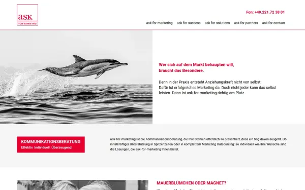 www.ask-for-marketing.de