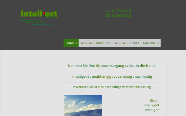 www.intell-ect.biz