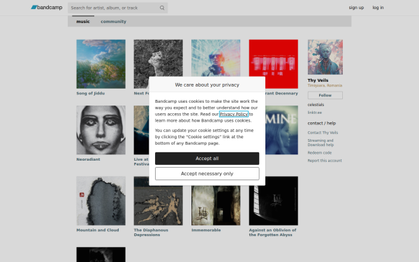 thyveils.bandcamp.com