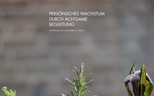 www.psychotherapie-salzlechner.at