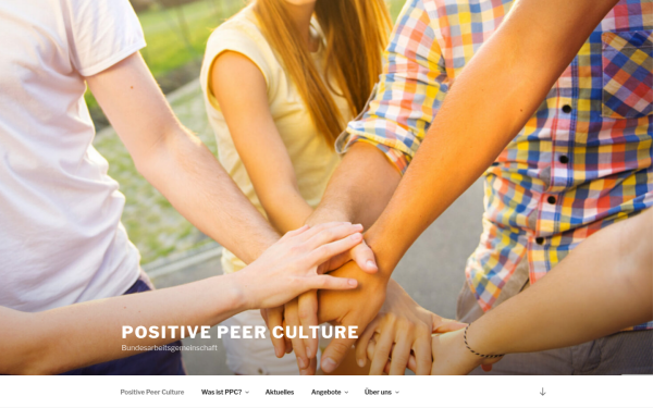 positive-peer-culture.de