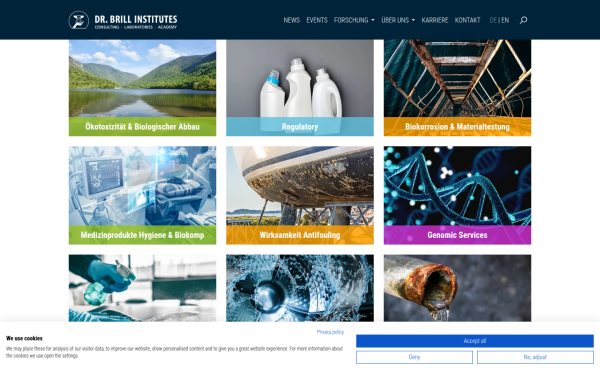 brillinstitutes.com