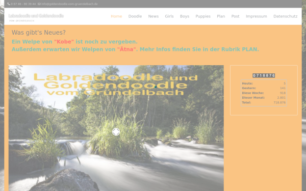 goldendoodle-vom-gruendelbach.de