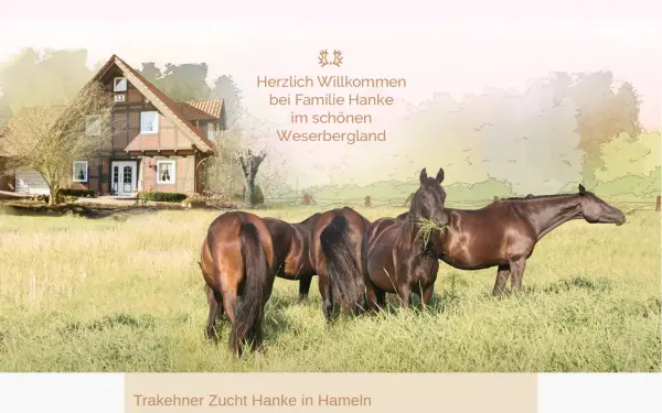 hanke-hameln.de