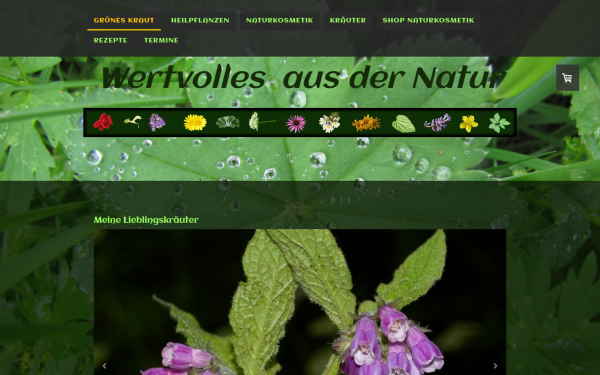 www.grueneskraut.de