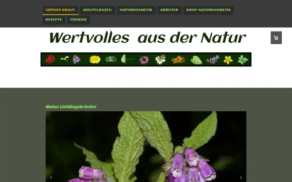 www.grueneskraut.de