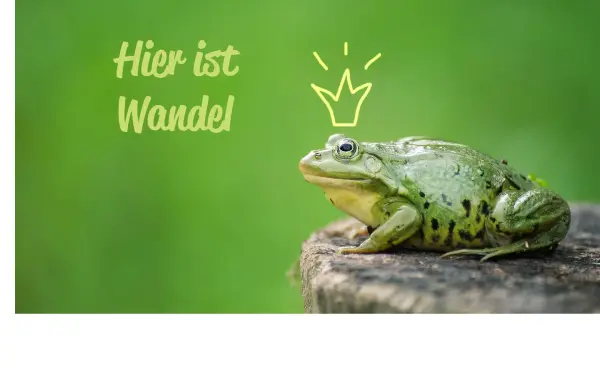 www.armatowski.com