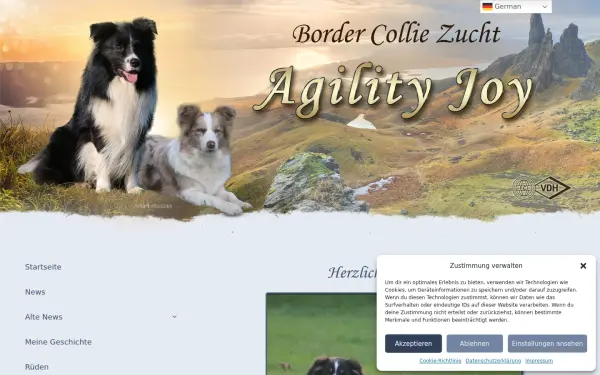 bordercollie-zucht.de