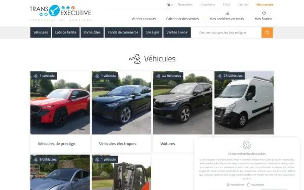 www.trans-executive.be