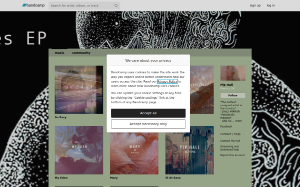ppip.bandcamp.com
