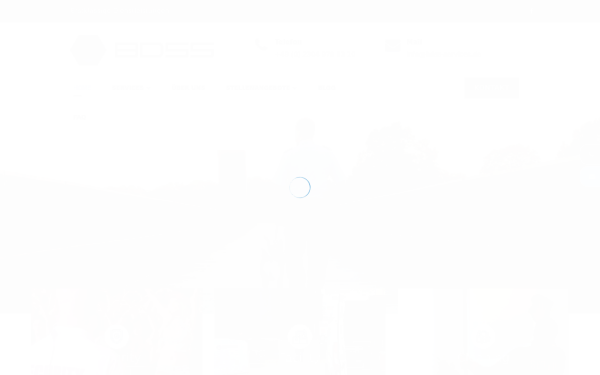 www.bdss-services.de