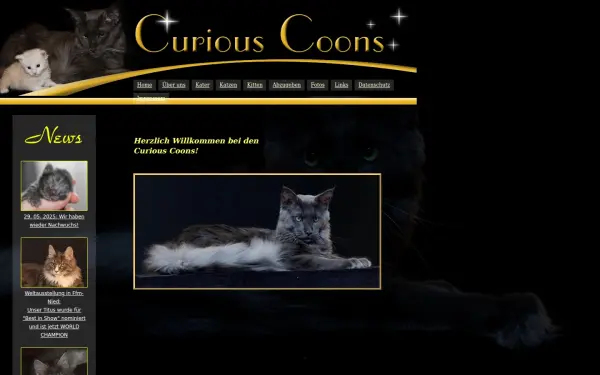 curious-coons.de