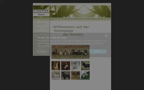 www.diedaniels-online.de