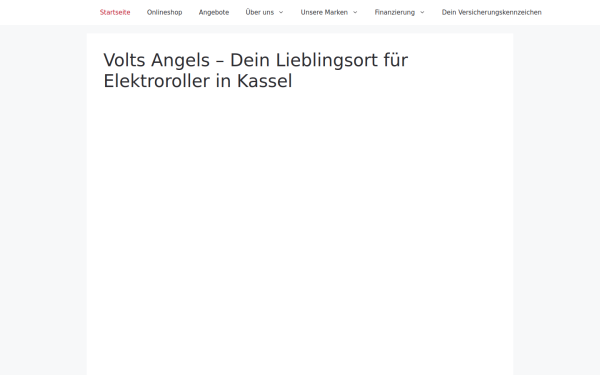 www.voltsangels.de