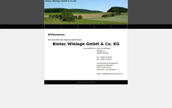 dergruenestrom.de