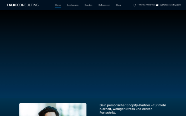 falkeconsulting.com