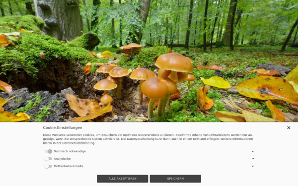 gegenwind-waldpolenz.de
